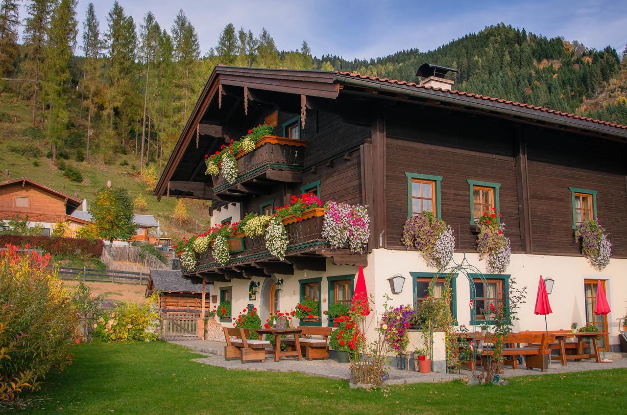 Brotzeitalm Apartment Pfarrwerfen Exterior photo